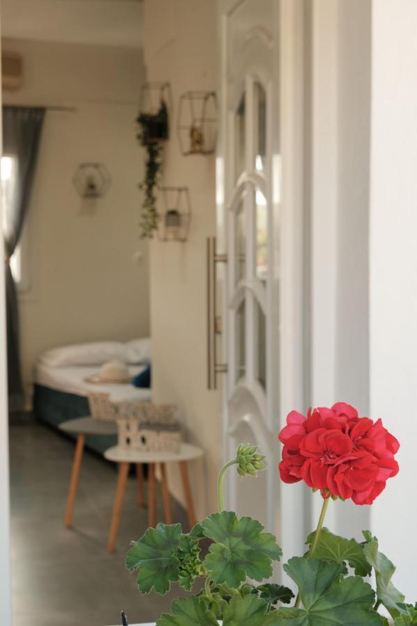 Pyrgi House, Ipsos Corfu Διαμέρισμα Εξωτερικό φωτογραφία
